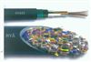 HYA 100×2×0.50mmHYA 100×2×0.50mm 通信電纜 HYA 通信電纜型号