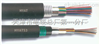信号電纜PTYA23 48芯信号電纜PTYA23 48芯