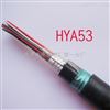 HYA53通信電纜HYA53通信電纜20*2*0.5